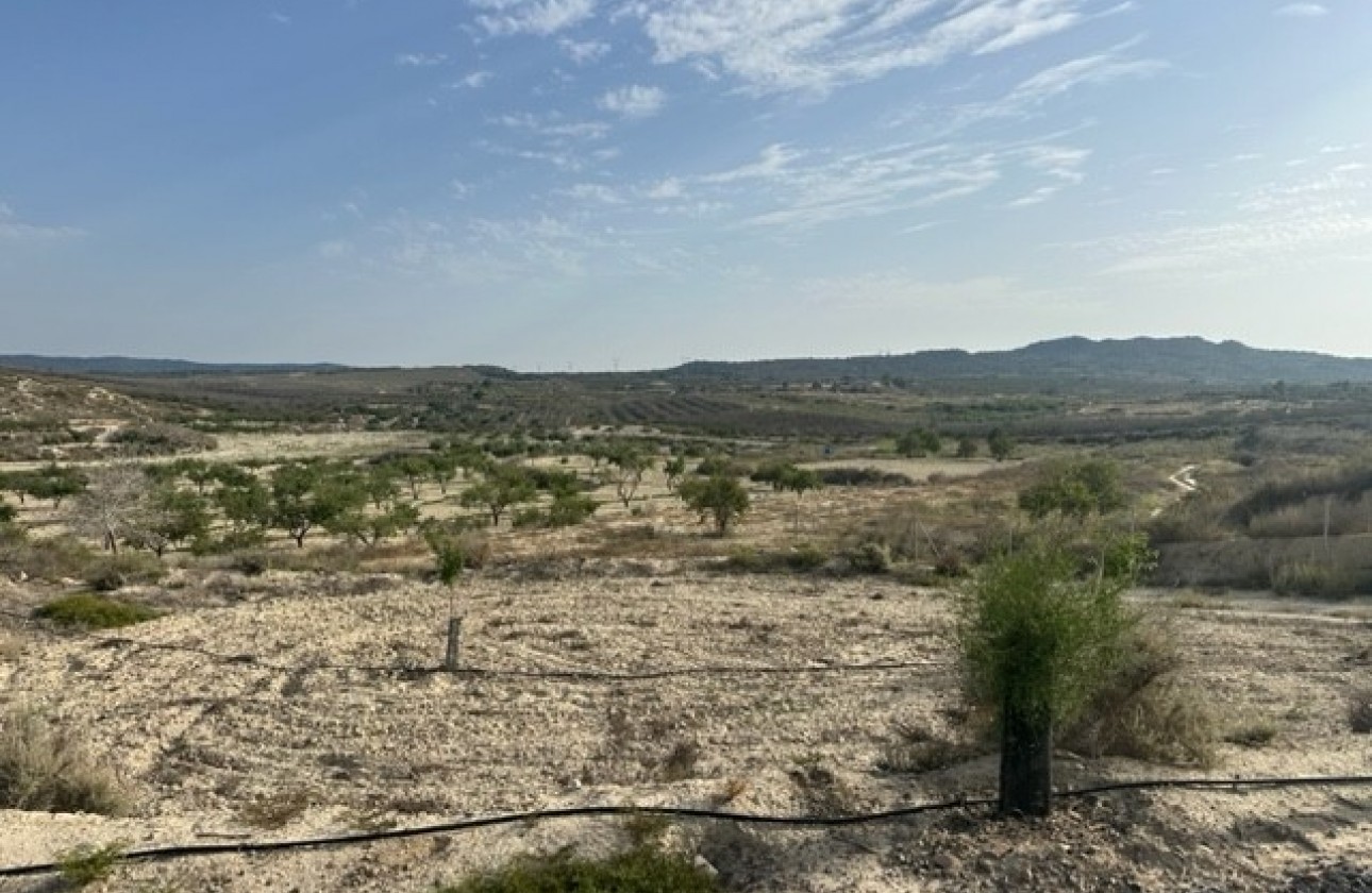 Reventa - Parcela / Terreno - Torremendo