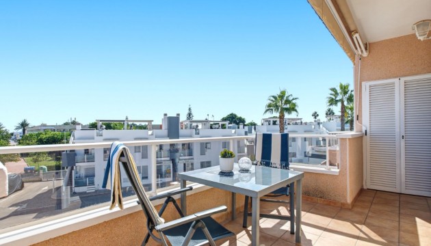 Studio - Odsprzedaż - Torrevieja - Torrevieja