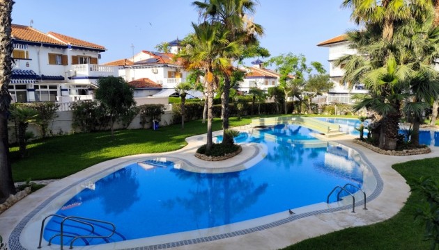 Studio - Wiederverkauf - Torrevieja - Torrevieja