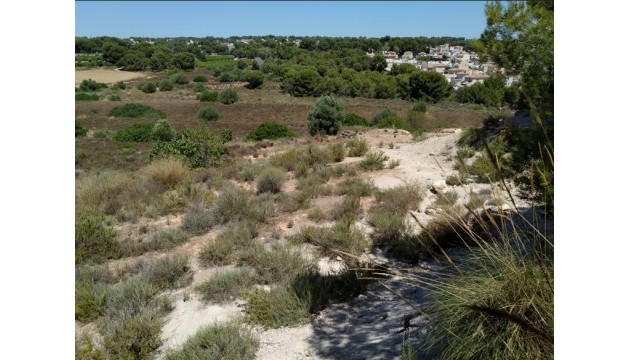 Tomt / Land - Videresalg - Pinar de Campoverde - Pinar de Campoverde