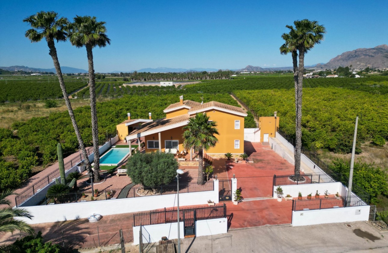 Videresalg - Finca - Country Property - Orihuela
