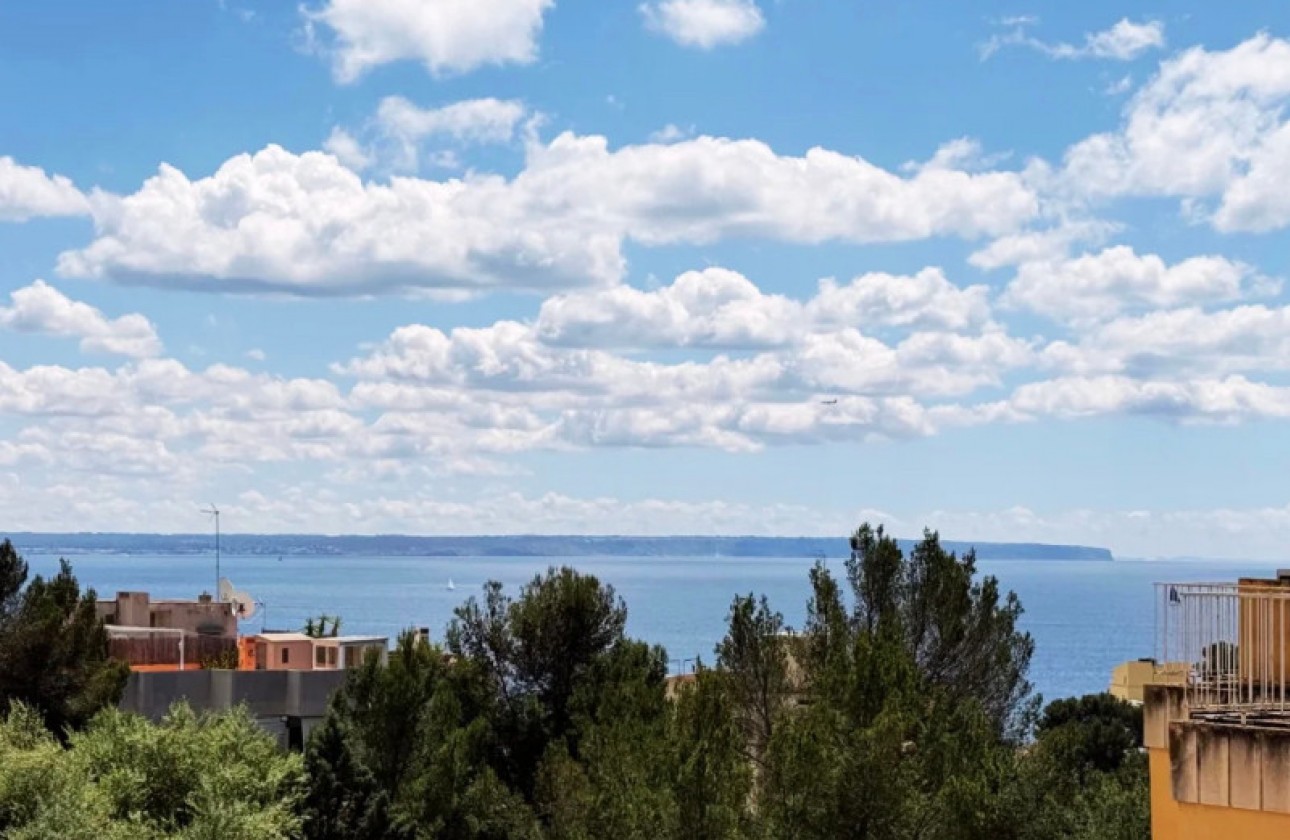 Videresalg - Leilighet - Palma de Mallorca - Sant Agustí