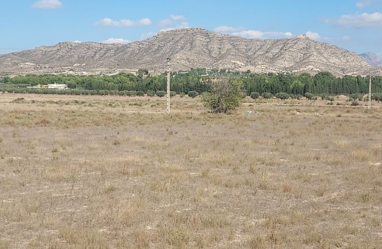 Videresalg - Tomt / Land - Hondón de las Nieves