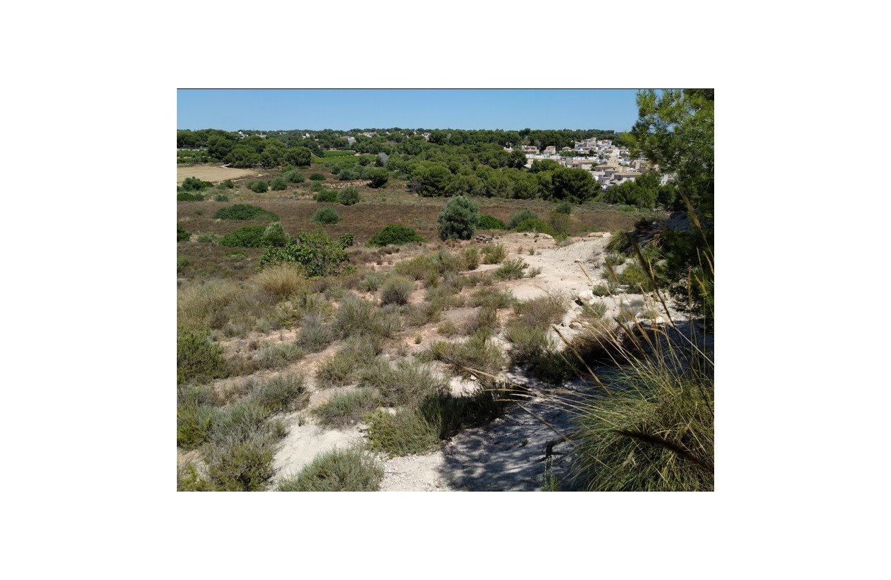 Videresalg - Tomt / Land - Pinar de Campoverde