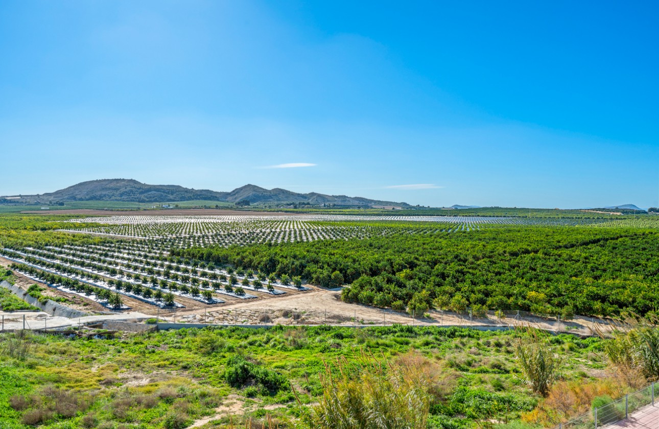 Wiederverkauf - Apartment - Algorfa