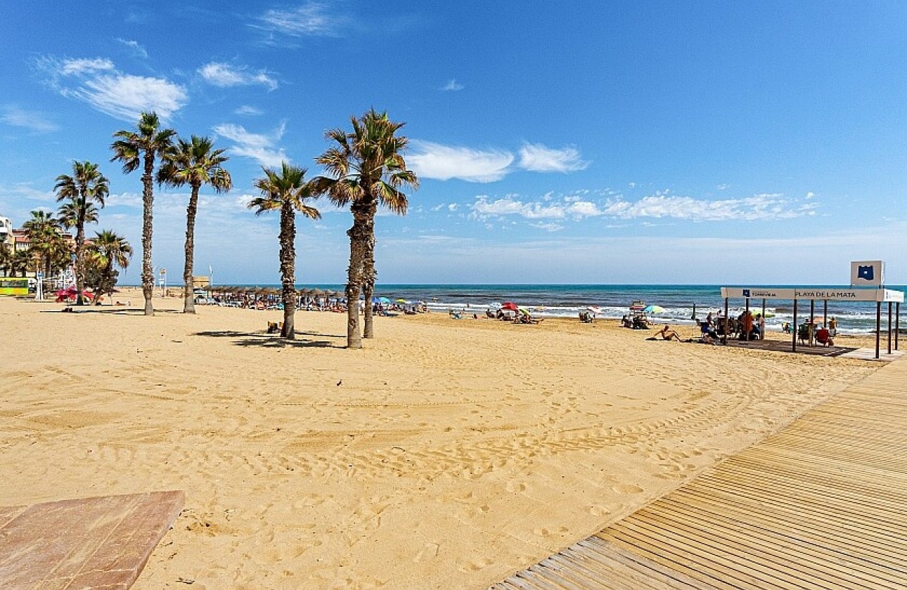 Wiederverkauf - Apartment - La Mata - Torrelamata - La Mata