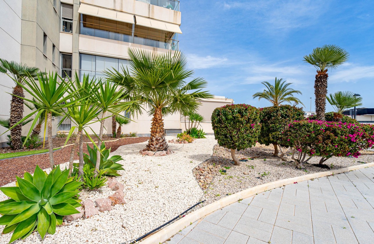 Wiederverkauf - Apartment - Orihuela Costa - Los Dolses