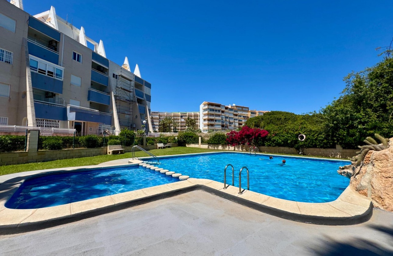 Wiederverkauf - Apartment - Torrevieja
