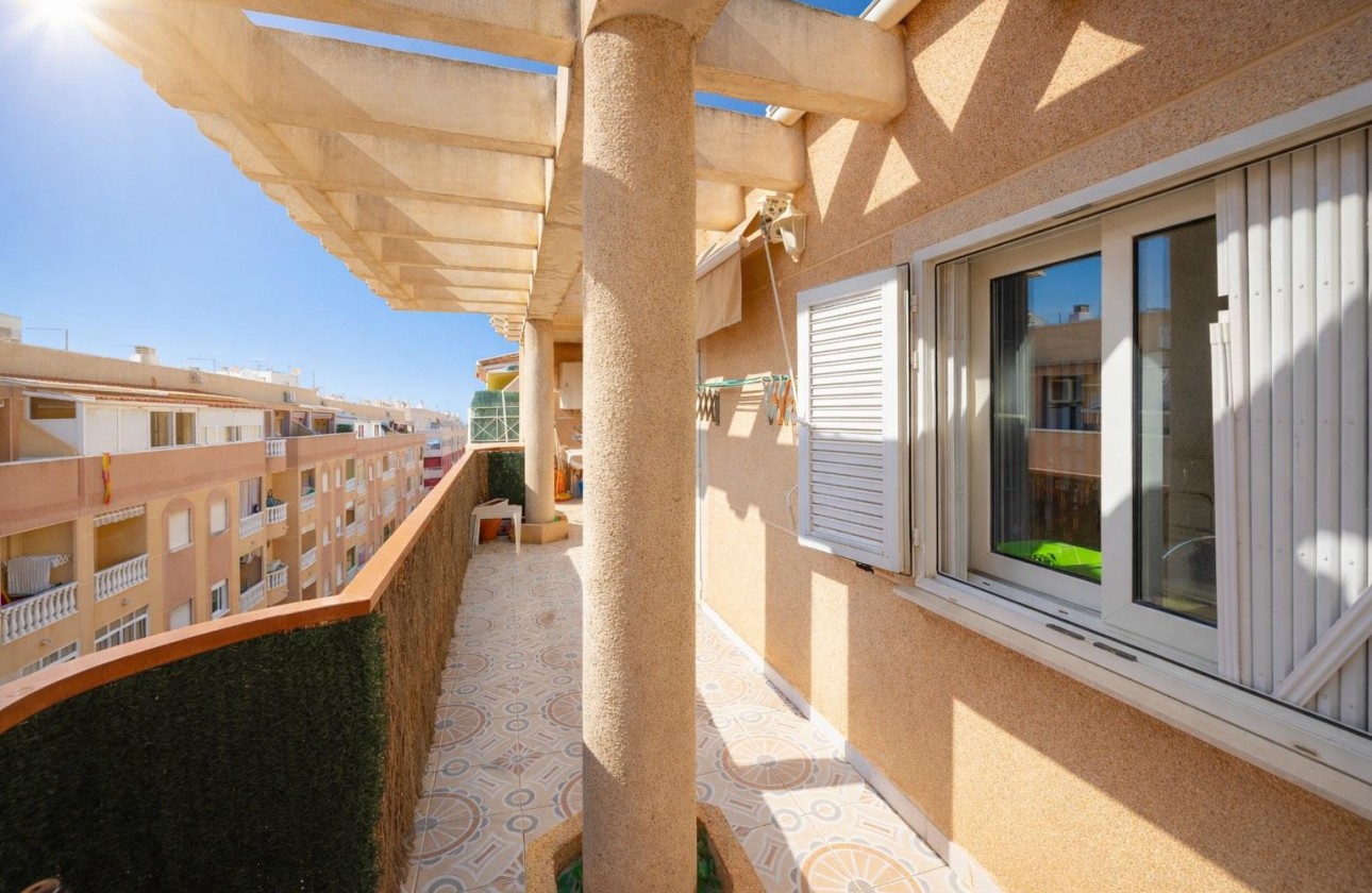 Wiederverkauf - Apartment - Torrevieja