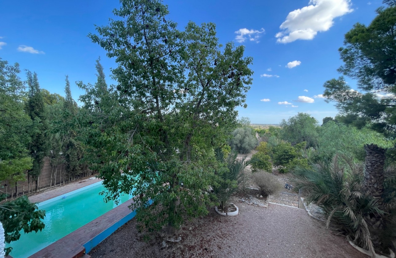 Wiederverkauf - Country House - Albatera