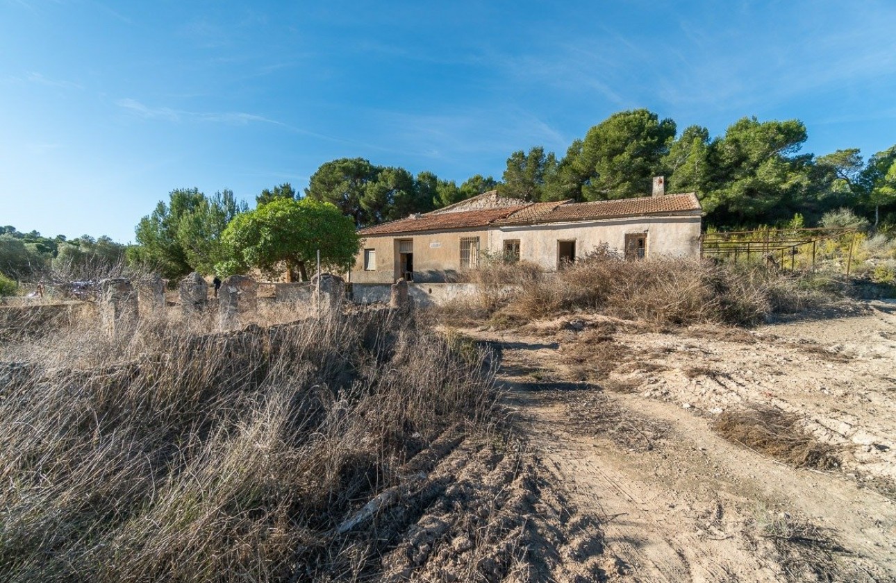 Wiederverkauf - Country House - Pilar de la Horadada