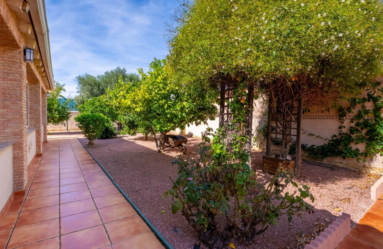 Wiederverkauf - Detached Villa - Torrevieja - El chaparral