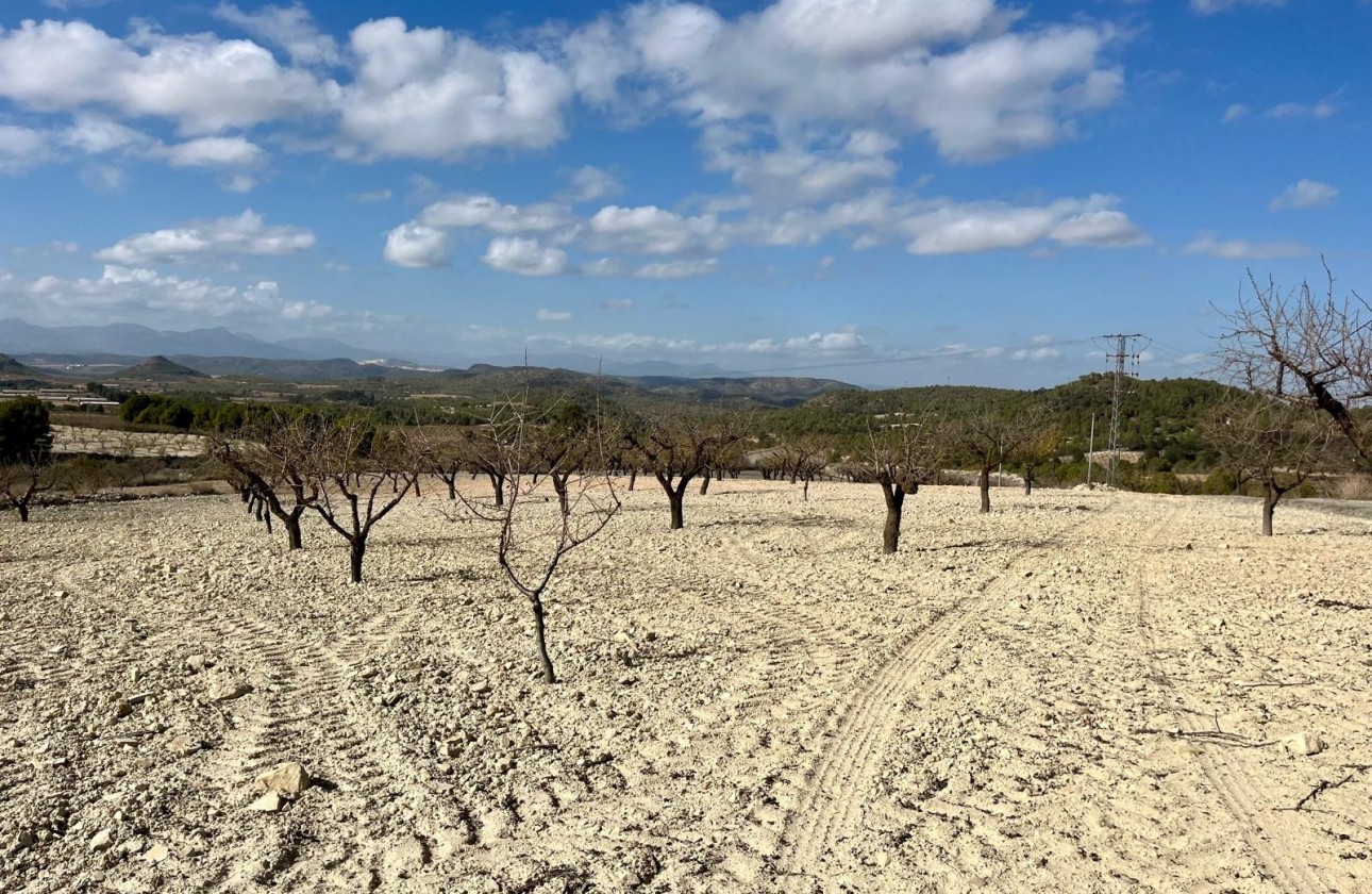 Wiederverkauf - Grundstück / Grundstück - Bullas - Costa Calida