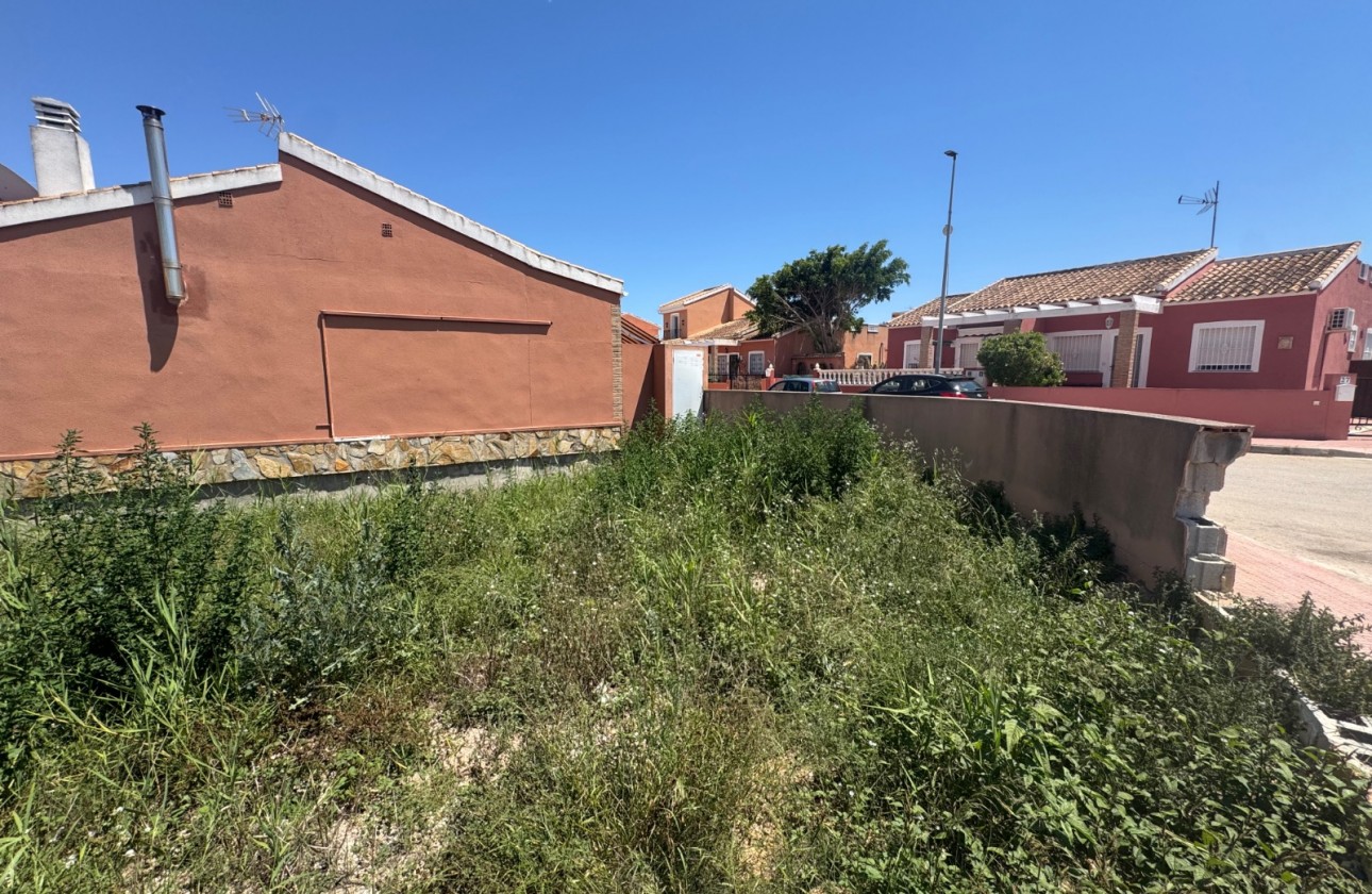 Wiederverkauf - Grundstück / Grundstück - Daya Nueva