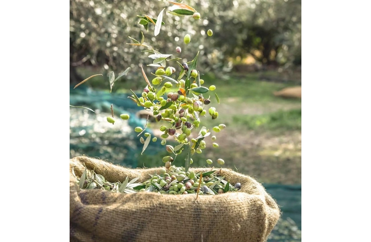 Wiederverkauf - Grundstück / Grundstück - Murcia - Rincón de Seca