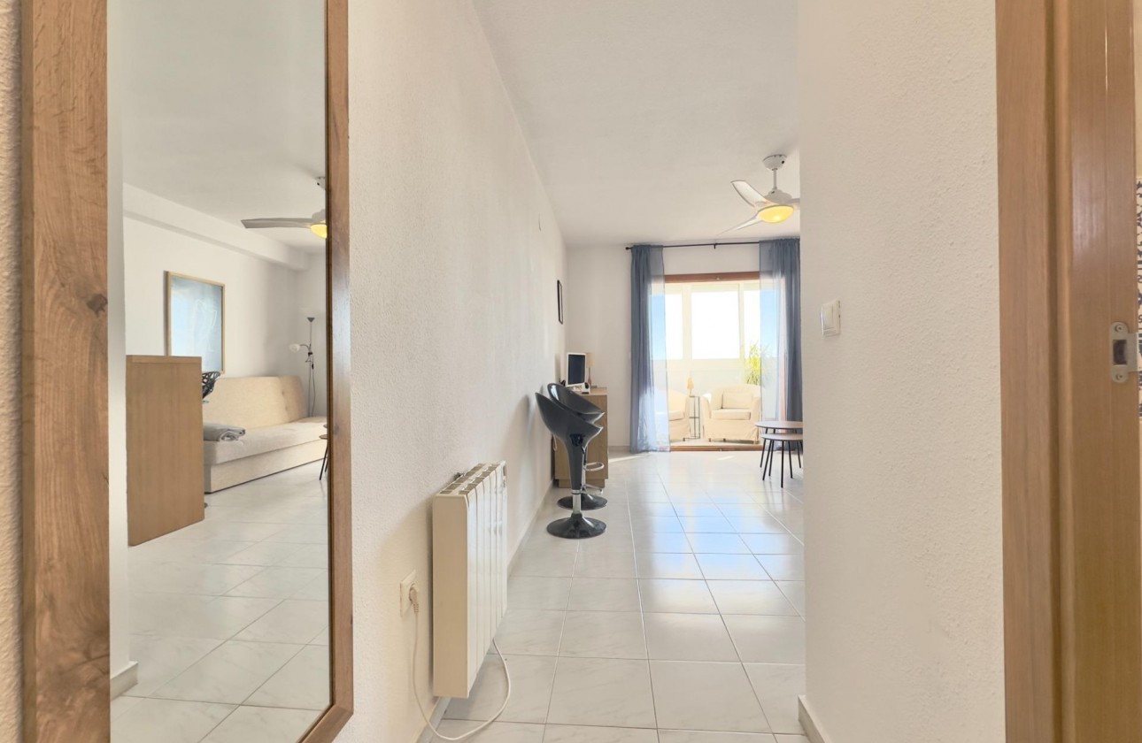 Wiederverkauf - Studio - Torrevieja