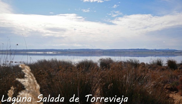 Перепродажа - Бунгало - Torrevieja - La Siesta - El Salado -  Torreta