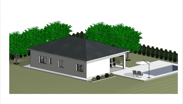 New Build - Detached Villa - Pinoso - Lel