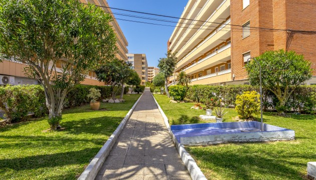 Herverkoop - Apartment - Orihuela Costa - Punta Prima