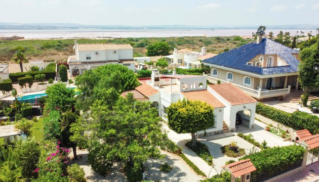 Wiederverkauf - Detached Villa - Torrevieja