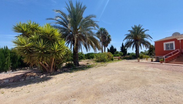 Reventa - Finca - San Miguel de Salinas