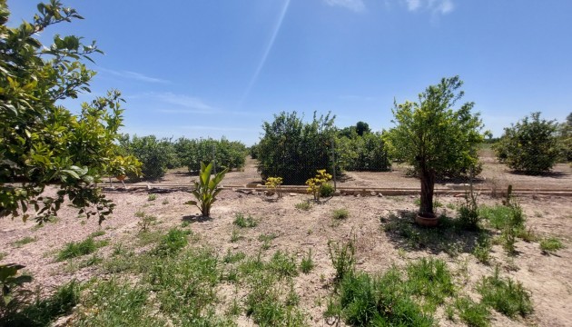 Reventa - Finca - San Miguel de Salinas