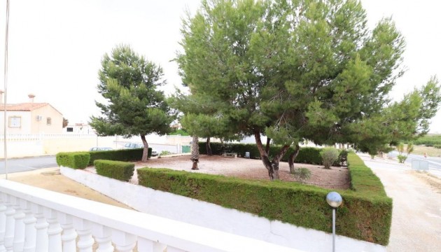 Begagnad - Hostel - San Miguel de Salinas - LO RUFETE