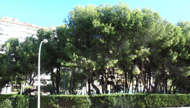 Herverkoop - Herenhuis - Orihuela Costa - Campoamor