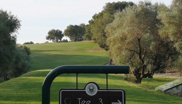 Begagnad - Lägenhet - Orihuela Costa - Playa Flamenca