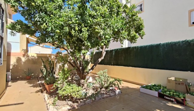 Herverkoop - Apartment - Orihuela Costa - La Zenia