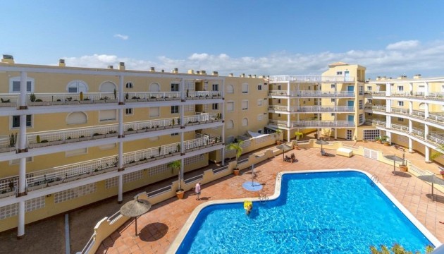 Begagnad - Lägenhet - Orihuela Costa - Campoamor