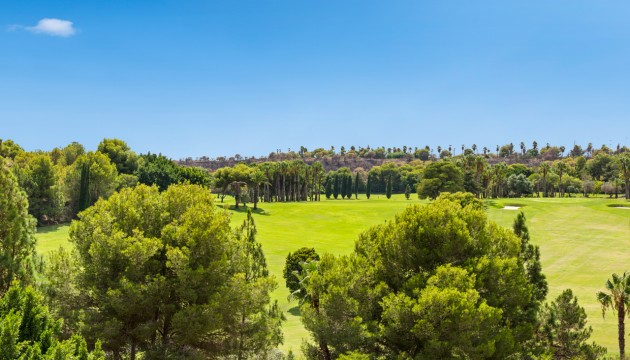 Перепродажа - Квартира - Orihuela Costa - Campoamor