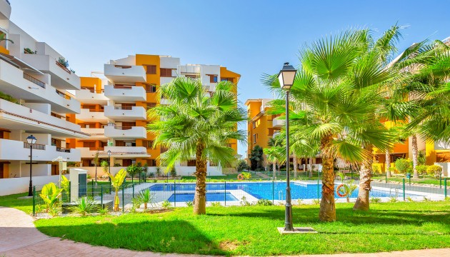 Reventa - Apartamento - Orihuela Costa - Punta Prima