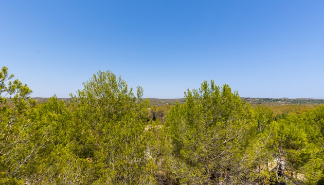 Wiederverkauf - Apartment - Orihuela Costa