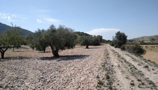 Herverkoop - Perceel / Grond - Hondón de las Nieves