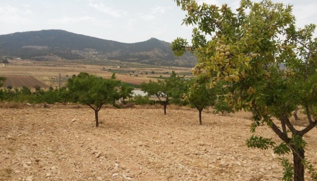 Resale - Plot / Land - Hondón de las Nieves