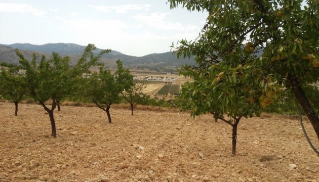 Resale - Plot / Land - Hondón de las Nieves