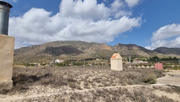 Reventa - Finca - Hondón de las Nieves