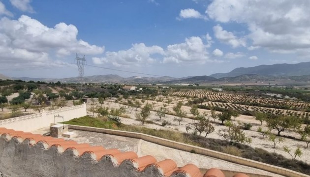 Reventa - Finca - Hondón de las Nieves