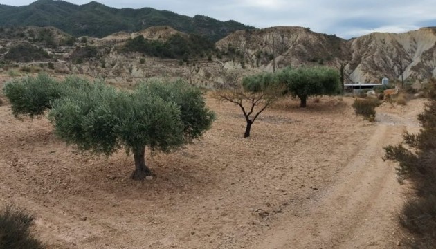 Reventa - Parcela / Terreno - Abanilla