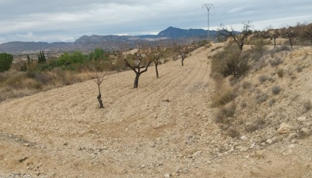 Reventa - Parcela / Terreno - Abanilla