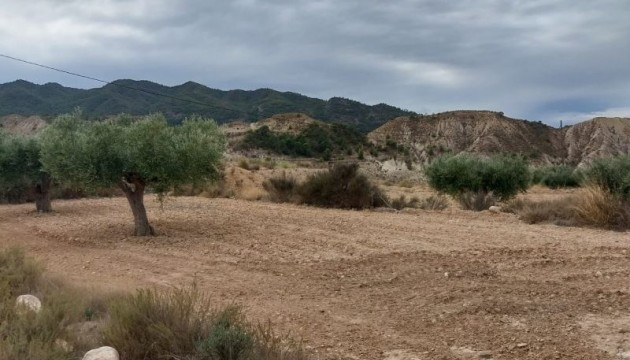 Reventa - Parcela / Terreno - Abanilla