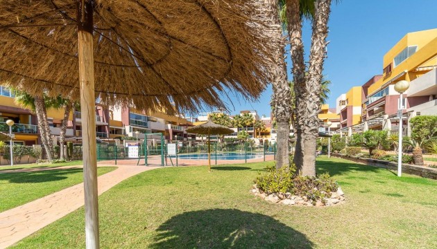 Reventa - Apartamento - Orihuela Costa - Playa Flamenca