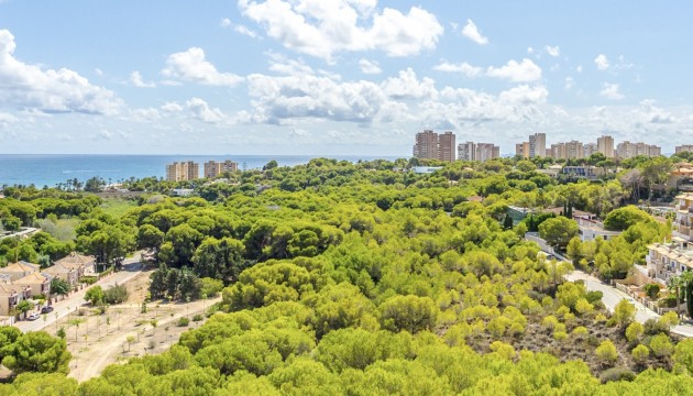 Перепродажа - Квартира - Orihuela Costa - Campoamor