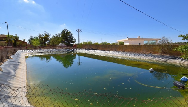 Wiederverkauf - Country House - Rojales - Los Montesinos