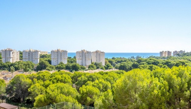 Begagnad - Lägenhet - Orihuela Costa - Dehesa de campoamor