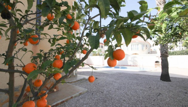 Wiederverkauf - Detached Villa - Orihuela Costa - La Zenia