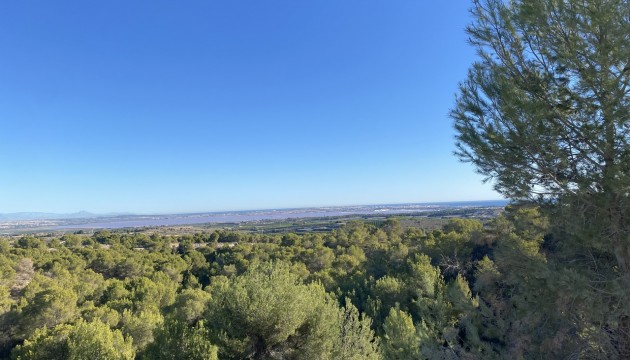 Wiederverkauf - Detached Villa - San Miguel de Salinas