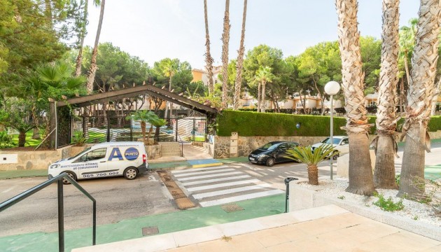 Begagnad - Lägenhet - Orihuela Costa - Campoamor