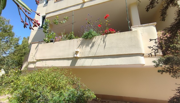 Reventa - Apartamento - Orihuela Costa - Campoamor